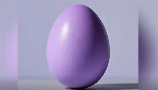 紫蛋是什么意思