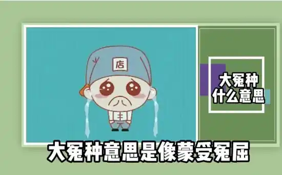 大冤种