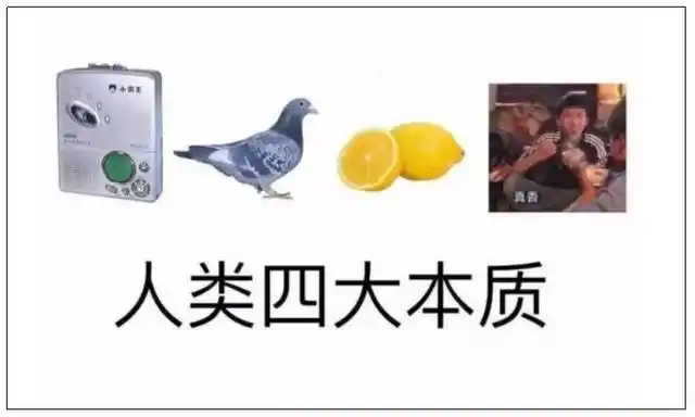 人类四大本质