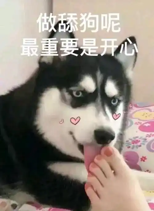 舔狗必死