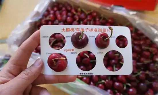 车厘子2J3J4J是什么意思