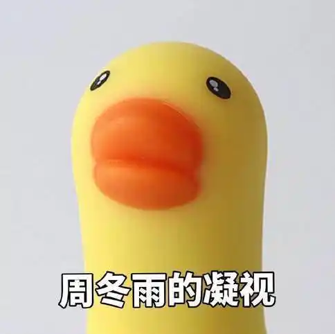 周冬雨的凝视