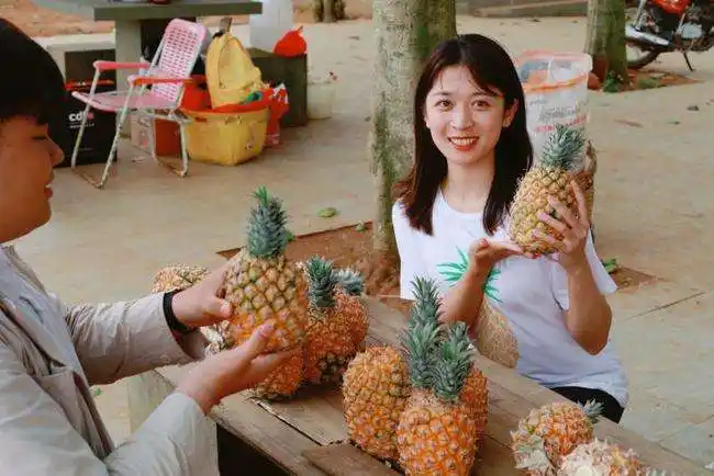 凤梨妹