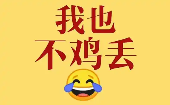 不鸡丢