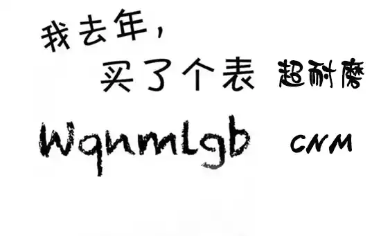 我去年买了个表