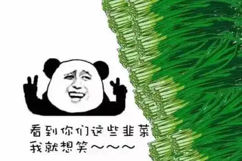 噶韭菜