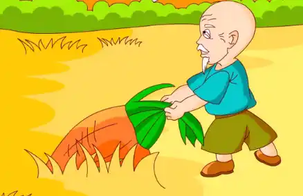 拔萝卜