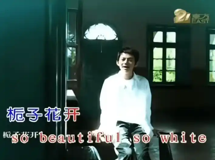 邪恶栀子花