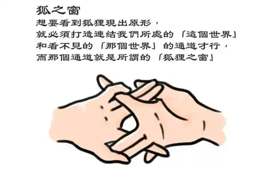 狐狸之窗