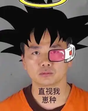 直视我崽种