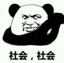 社会社会