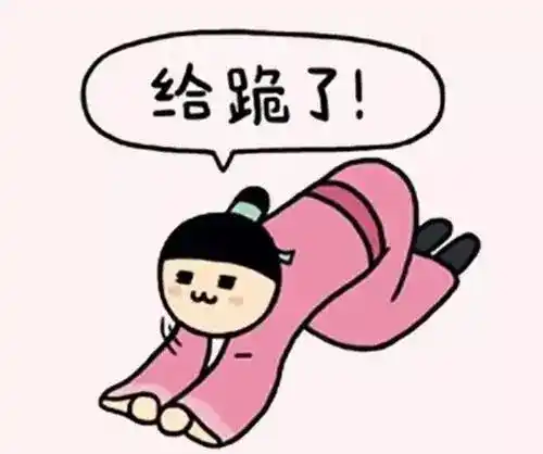 给跪了