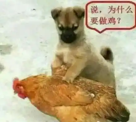 做鸡