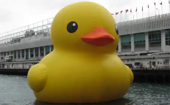 愚蠢的人类