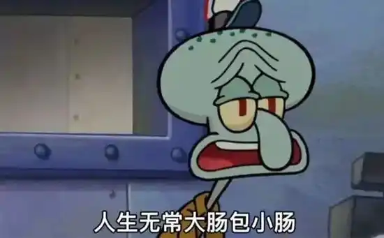 大肠包小肠