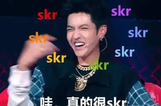 skr