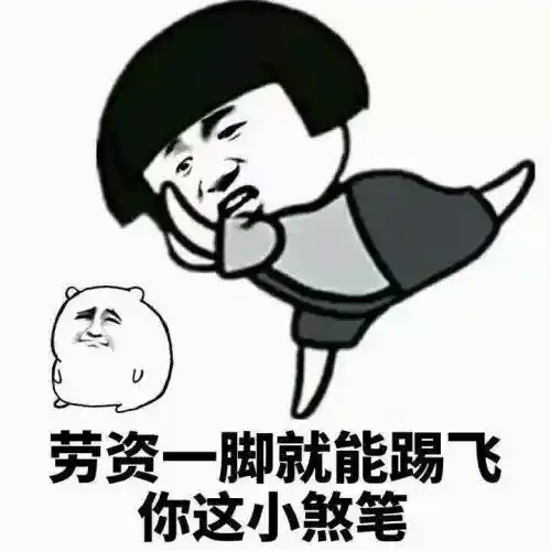 煞笔